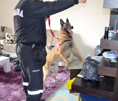 Jandarmadan uyuşturucu operasyonu: 5 gözaltı