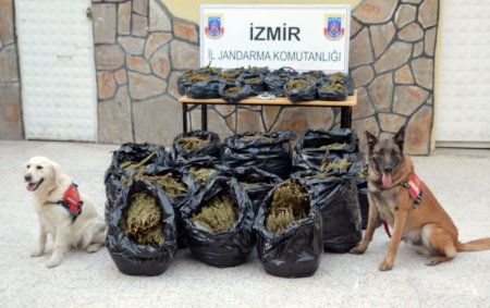 Jandarmadan uyuşturucu operasyonu: 5 gözaltı