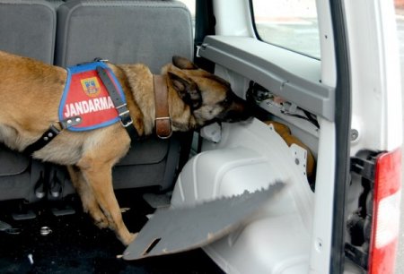 Jandarmadan Uyuşturucu Operasyonu