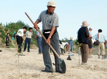 Japonların Da Türkiye'de Bir Dikili Ağacı Oldu
