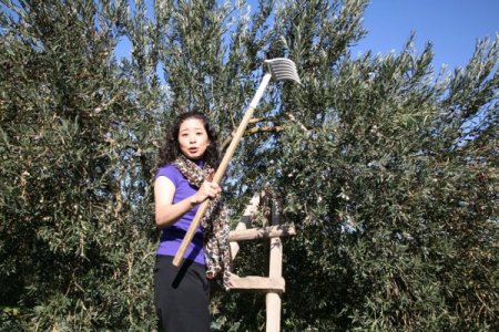 Japonya, Çin Ve İran, Türk Zeytin Ve Zeytinyağı Yiyecek