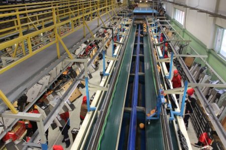 Japonya’ya 40 yıl sonra ilk greyfurt ihracatını Adanalı firma yaptı