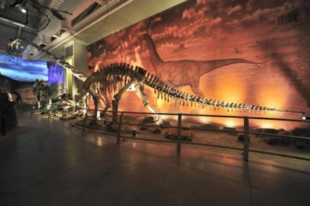 Jurassic Land, Öğretmenler Günü'nde öğretmenlere ücretsiz