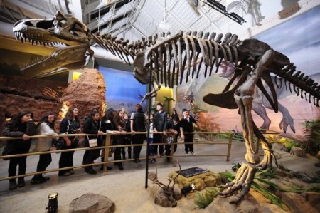 Jurassic Land, Öğretmenler Günü'nde öğretmenlere ücretsiz