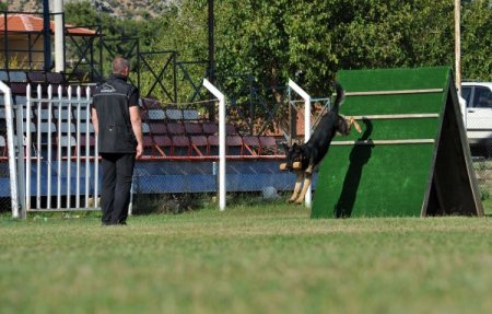 K-9 köpekleri Antalya’da yarıştı