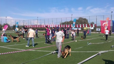 K-9'lar Çekmeköy'de yarıştı