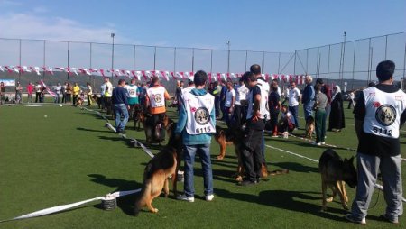 K-9'lar Çekmeköy'de yarıştı