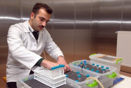 Kablosuz internet, sara hastasının hastalığını artırıyor