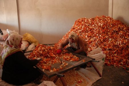 Kabuğu Meyvesinin 7 Katı Pahalı