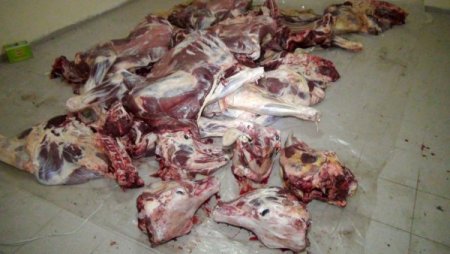 Kaçak 2 ton et yakalandı