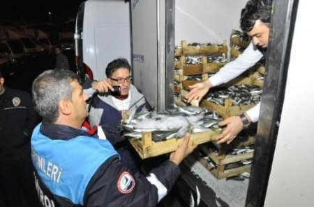 Kaçak balık avı denetimlerinde 105 tekneye el konuldu