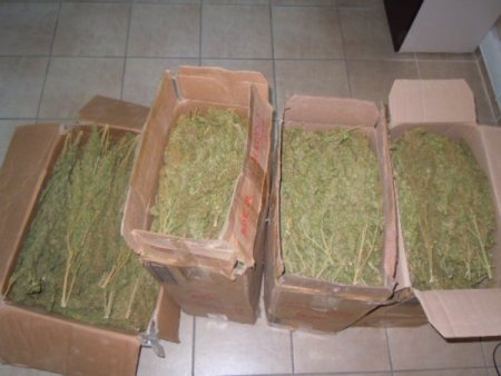 Kaçan araçta 30 kilo esrar çıktı