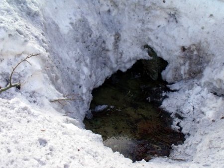 Kaçırılan Kaymakam Adayı Ve Askerler İçin Şenyayla’da Operasyon Düzenlendi