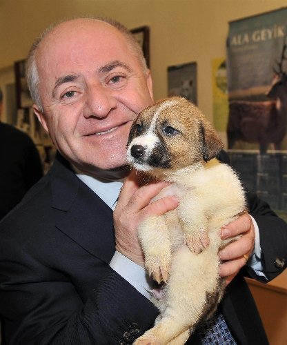 Kadıköy'de pet-shoplarda hayvan satışı yasağı başladı