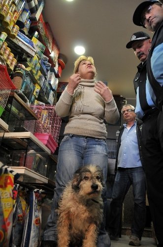 Kadıköy'de pet-shoplarda hayvan satışı yasağı başladı