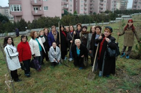 Kadın Meclisi'nden Ağaçlandırma Kampanyası