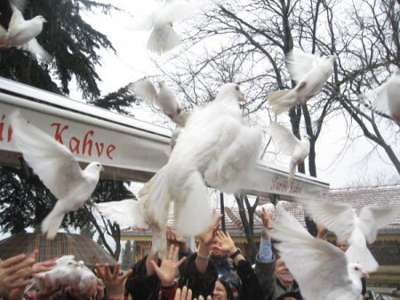 Kadınlar, Barış Ve Özgürlük İçin Güvercin Uçurdu