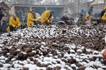 Kadınlar soğukta geçim mücadelesi veriyor