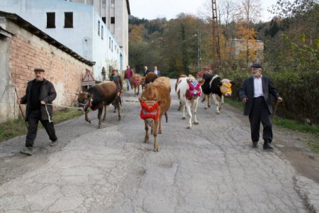 Kadıralak Yaylası’ndan son yaylacı da döndü
