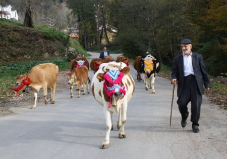 Kadıralak Yaylası’ndan son yaylacı da döndü