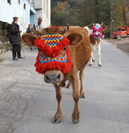 Kadıralak Yaylası’ndan son yaylacı da döndü