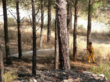 Kadirli'de Çamlık Alandaki Yangın Büyümeden Söndürüldü