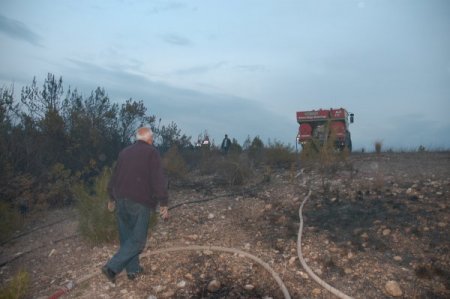 Kadirli'de Orman Yangını