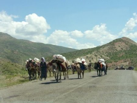 Kağızman'da Yaylalar Şenlendi