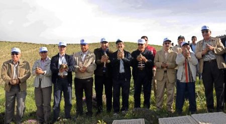 Kahramanmaraş'ta 5 Yılda 5 Bin Kınalı Keklik Doğayla Buluştu