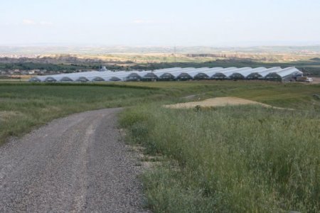 Kahtalı Çiftçiler Tütüne Alternatif Olarak Seracılığa Yöneliyor