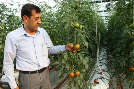 Kahtalı Çiftçiler Tütüne Alternatif Olarak Seracılığa Yöneliyor