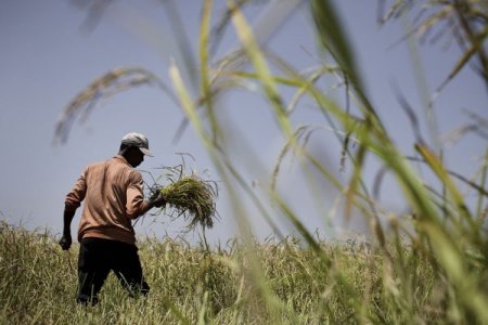 Kalkınmanın fotoğrafları Adana’da