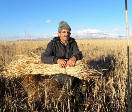 Kamış ürünü köylünün elinde kaldı