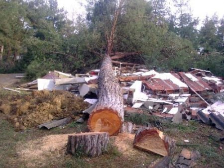 Kampüsteki Ağaçların Kesilmesi, Üniversite İle Belediyeyi Karşı Karşıya Getirdi