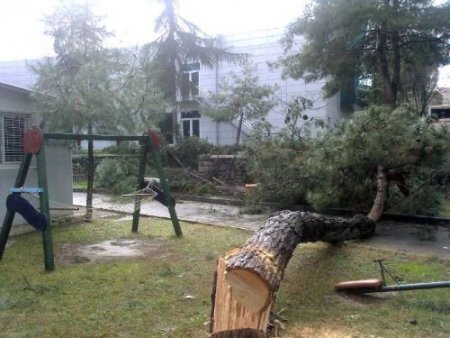 Kampüsteki Ağaçların Kesilmesi, Üniversite İle Belediyeyi Karşı Karşıya Getirdi