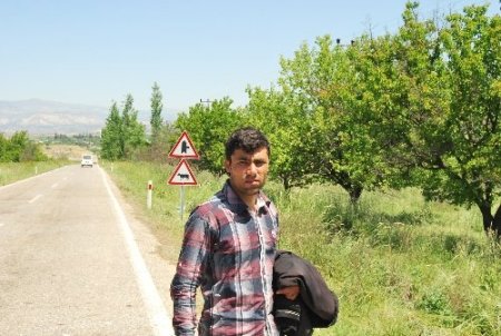 Kamyon keçi sürüsüne çarptı: 80 keçi telef oldu, 30'u yaralandı