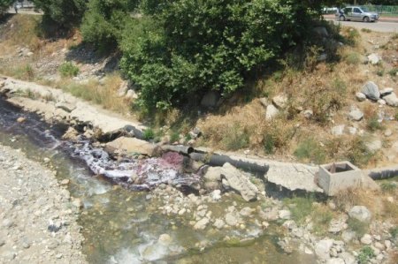 Kan Akan Dereye Tepki