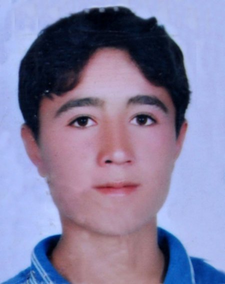 Kan davalı aileleri Gürcistanlı kadın buluşturmuş