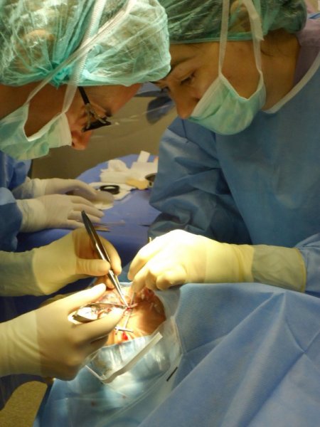 'Kan Şekerinin Aşırı Yükselmesi Ve Düşmesi Körlüğe Yol Açabilir'