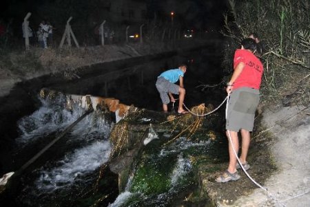 Kanalda Cesedi Aranan Kişi Çarşıda Gezerken Bulundu