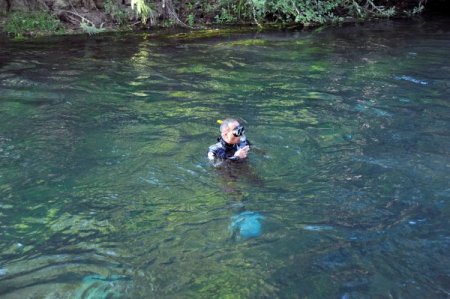Kanalda Kayboldu Sanılan Şahıs, Ağacın Altında Uyurken Bulundu