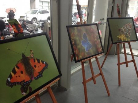 'Kanatlardaki Sır' konulu fotoğraf sergisi açıldı