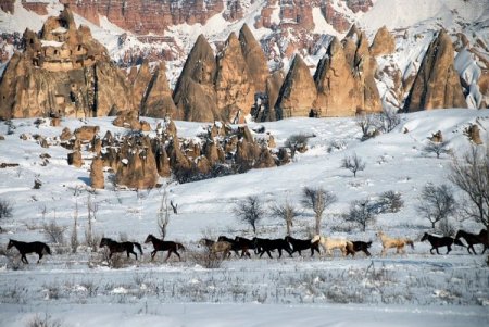 Kapadokya kendi rekorunu kırdı