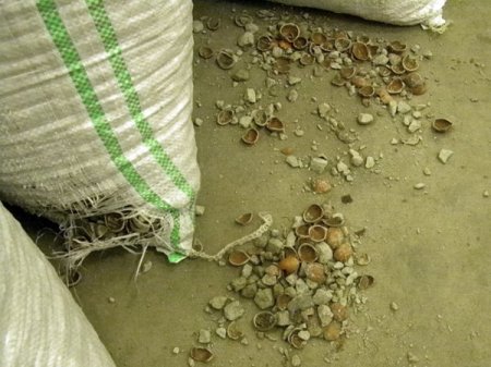 Kapıkule’de Yaklaşık 14 Ton Kaçak Çakıl Taşı Ele Geçirildi