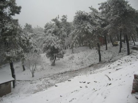 Kar, İstanbul'u Yeniden Beyaza Bürüdü
