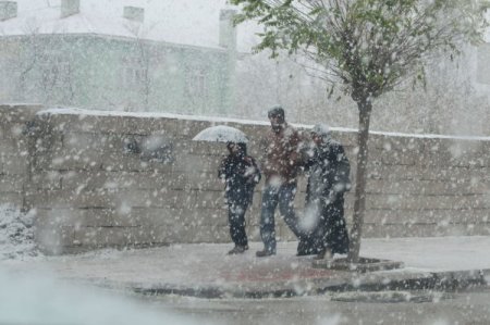 Kar, Van'da da yüzünü gösterdi