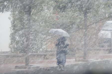 Kar, Van'da da yüzünü gösterdi