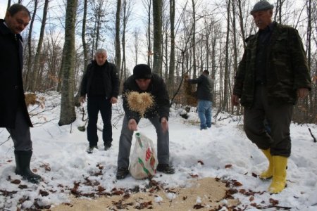 Kar altındaki Uludağ'da geyiklere yem bırakıldı