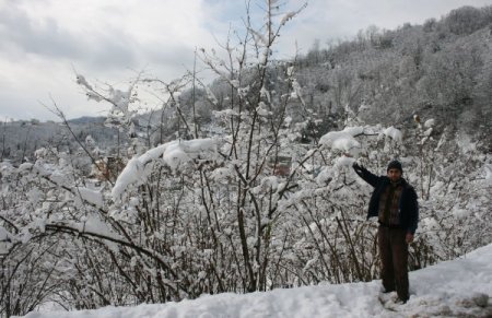 Kar Fındık Üreticisini Sevindirdi
