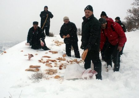Kar Kaplanları yaban hayatı için yemleme yaptı